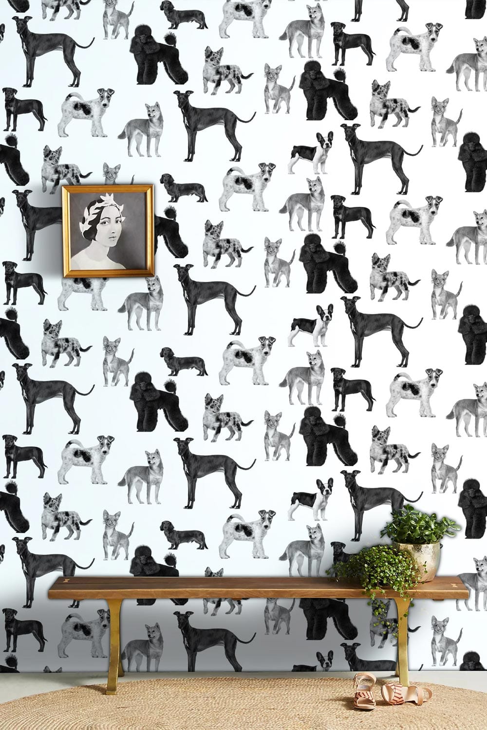 A nice design of motionless dogs as a wall mural for a corridor