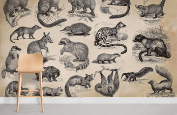 Vintage Australian Animal Illustration Mural Wallpaper