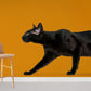Wall decals of the black cat king