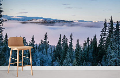 views from mountain peaks wall murals for home