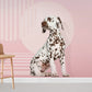 wall paintings of a small pink spotted dog