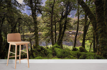 Emerald Forest Scenic Nature Mural Wallpaper