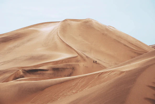 Tranquil Desert Dunes Landscape Mural Wallpaper