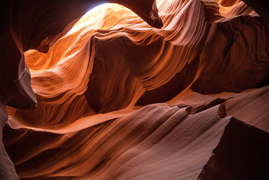 Canyon Antelope Sandstone Wall Mural