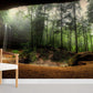 vibrant forest in sinkhole wallpaper for home