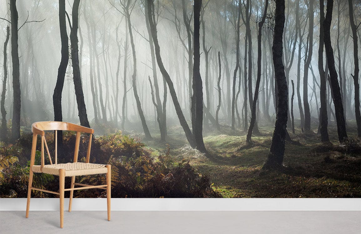 forest at morning with light fog wall murals for home