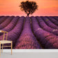 a large field of lavander wallpaper for home