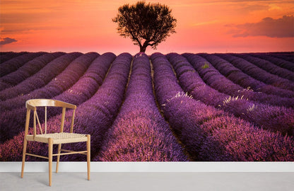 a large field of lavander wallpaper for home