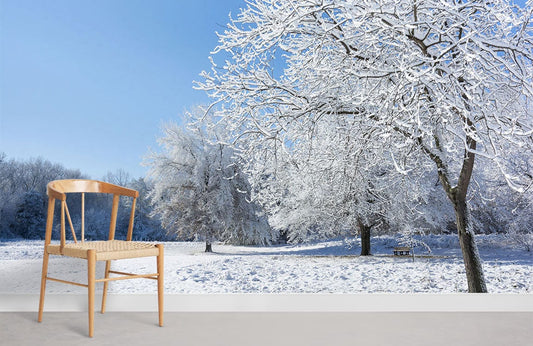 trees all covered by snow in winter wallpaper for room