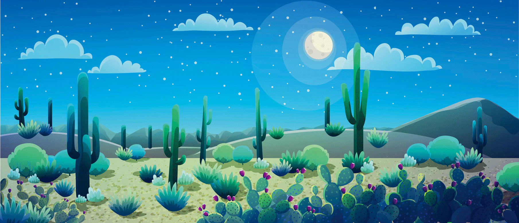 Home Decoration Wall Mural Featuring Cactus at Luna Starry Night