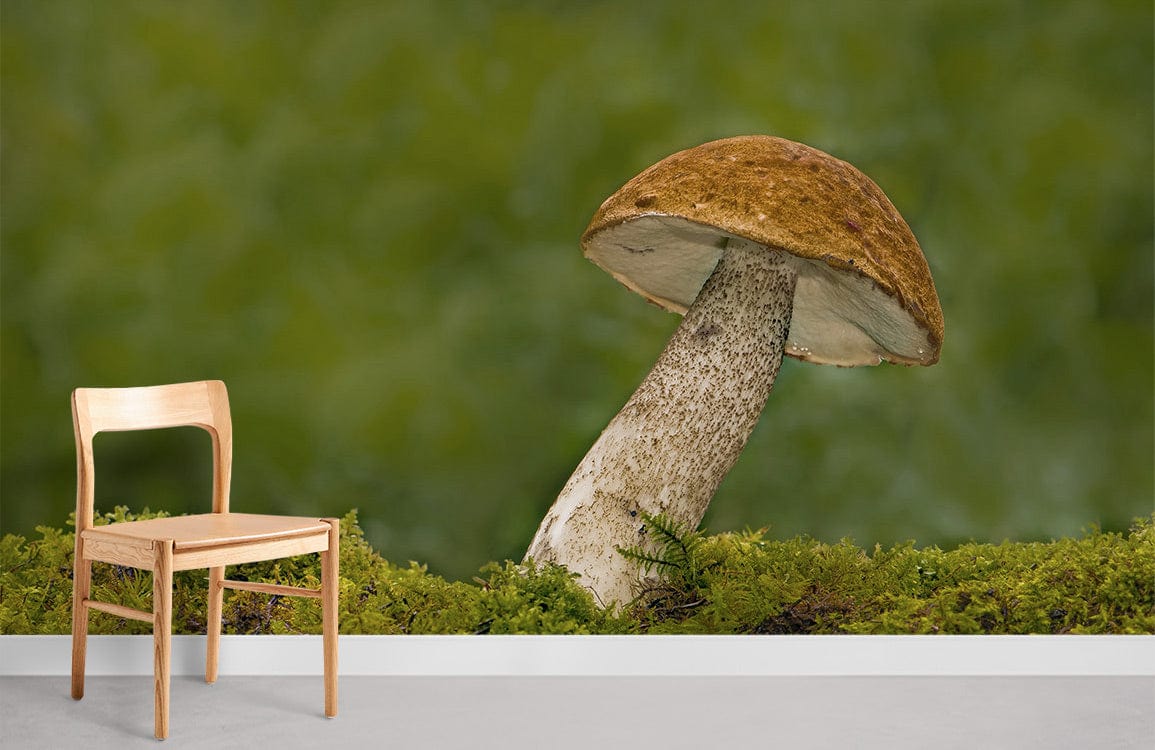 cute mushroom grow in forest wallpaper for rome