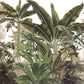 Wall Mural of a Tropical Forest to Adorn Your Home Decor