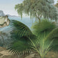 Home decoration wallpaper with a mountainous and riverine scene from the tropics