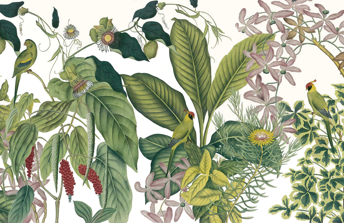Tropical Birds Botanical Mural Wallpaper