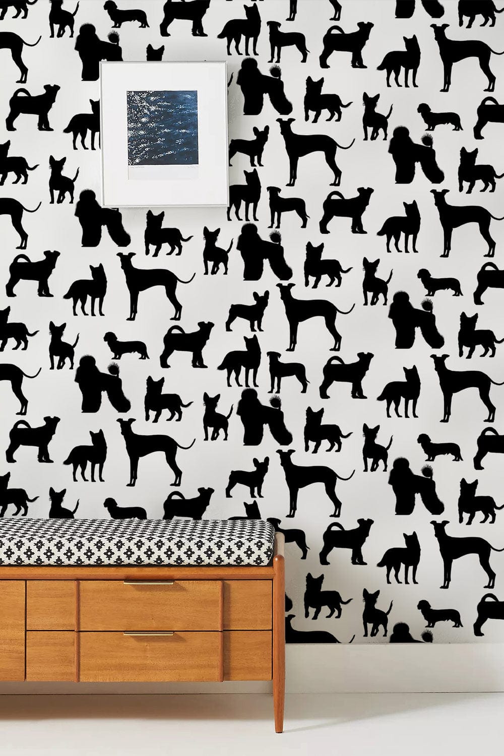 Dogs wallpaper murals for the hallway are a personalized option for dog lovers