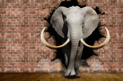 Elephant Wallpaper for a Plain Background