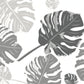 Wallpaper with a pattern of large grey leaves for use in interior decoration