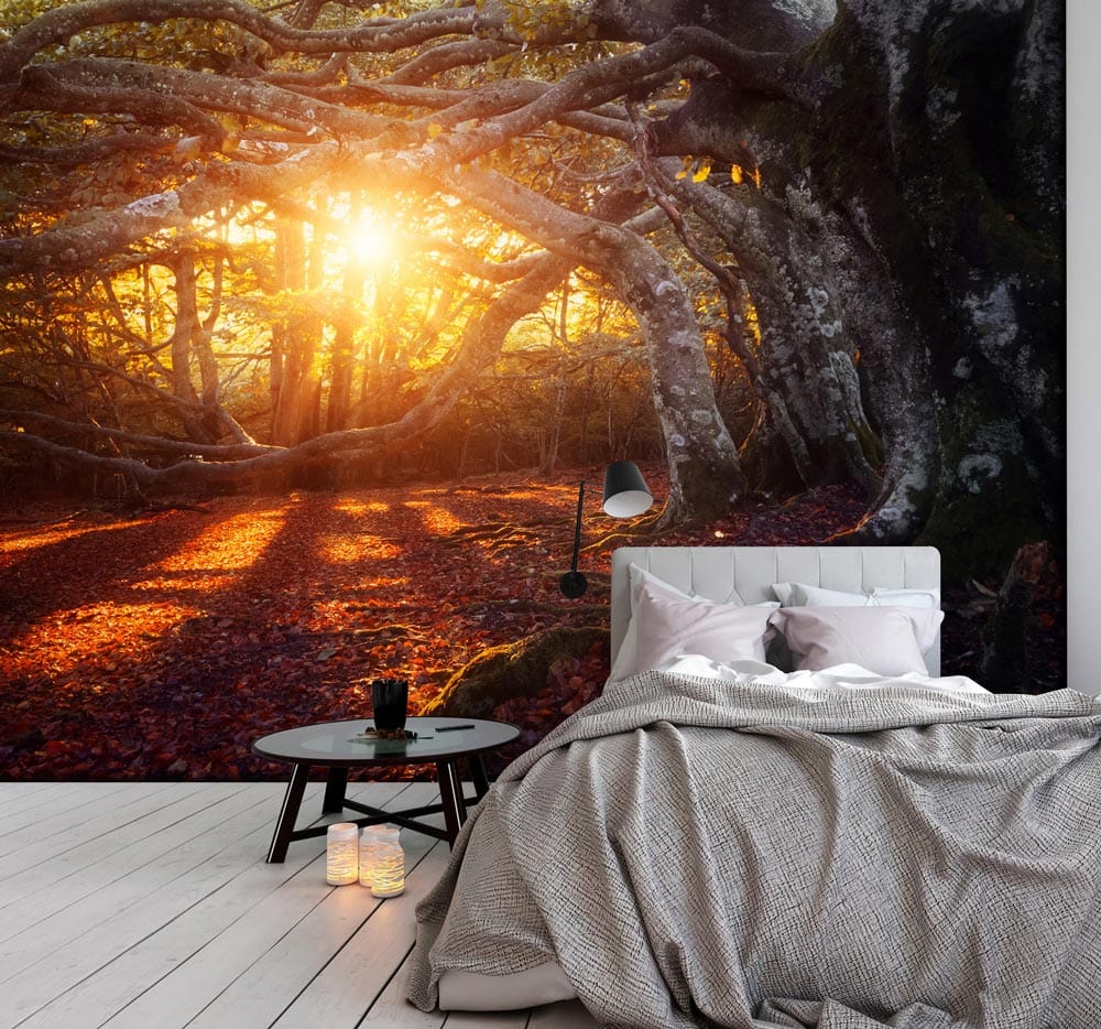 unique orange forest jungle wall murals for bedroom