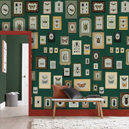 Vintage Entomology Framed Illustrations Mural Wallpaper in entryway