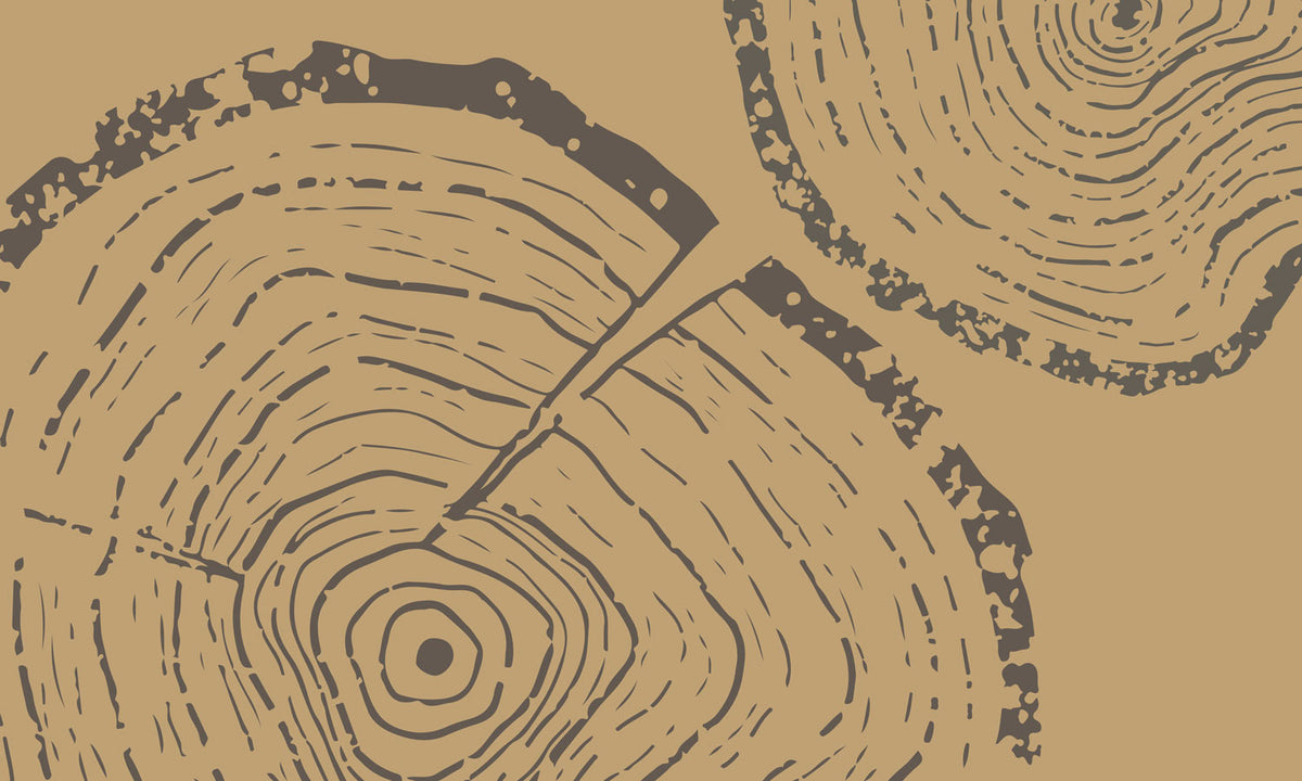 Rustic Natural Wood Grain Mural Wallpaper
