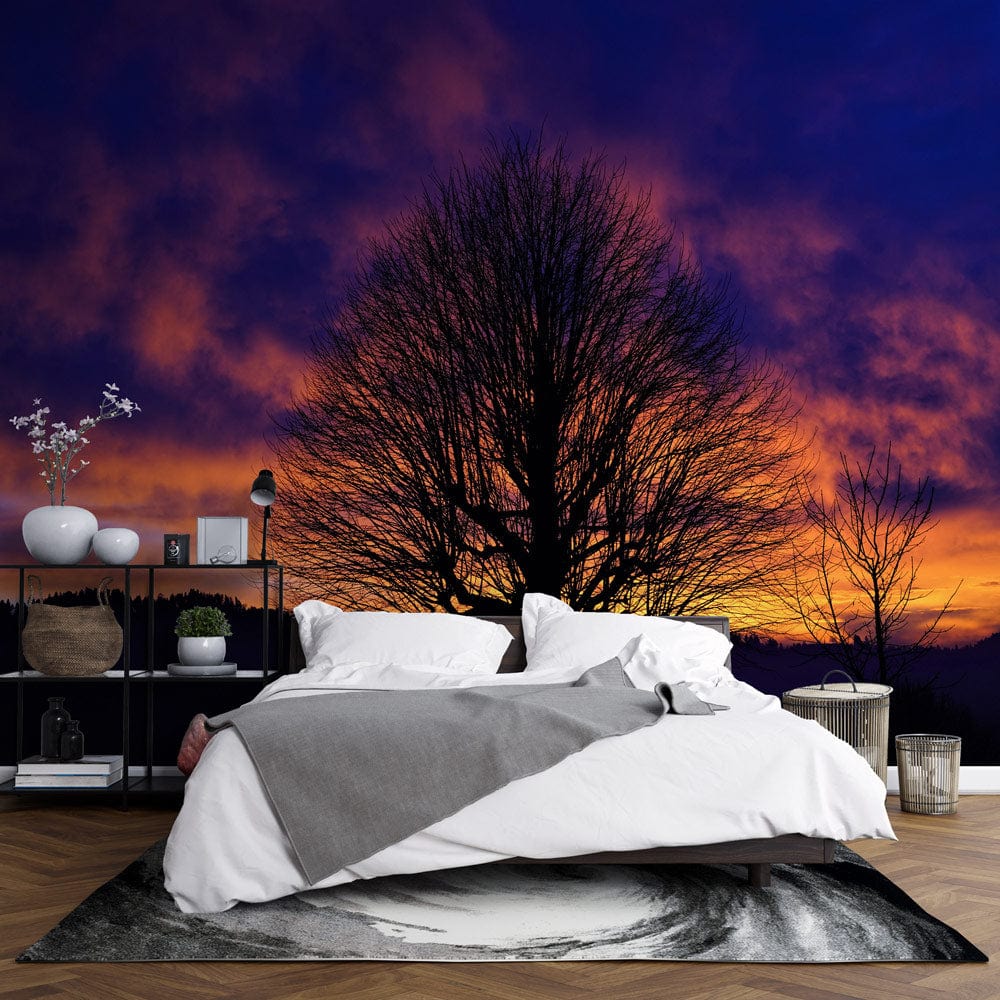 unique bedroom wallpaper design of bare trees and beautiful sunset glow