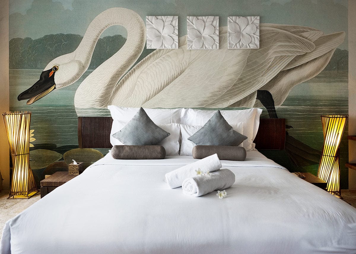 Bedroom Wallpaper Mural Featuring the American Swan