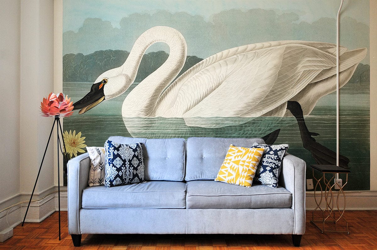 Living Room Wallpaper Mural Featuring the American Swan