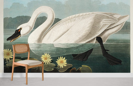 Mural Room Featuring American Swan Wallpaper
