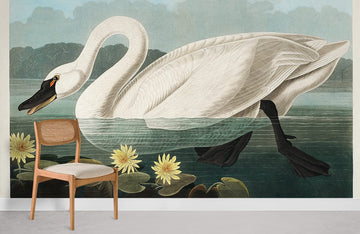 Elegant Swan Lake Nature Mural Wallpaper