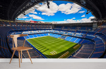 Stadium View 3D Mural Wallpaper