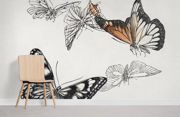 Vintage Butterfly Illustration Wall Mural