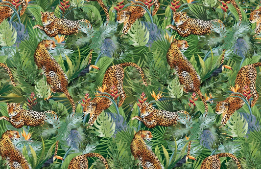 different cheetah animal wallpaper mural