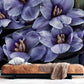 crocus blossom wallpaper mural hallway decor idea