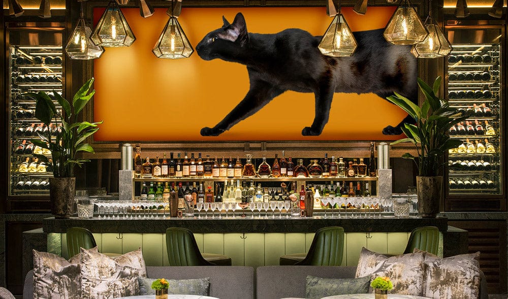 A black cat on an orange backdrop is custom-made for a club or restaurant wall painting.