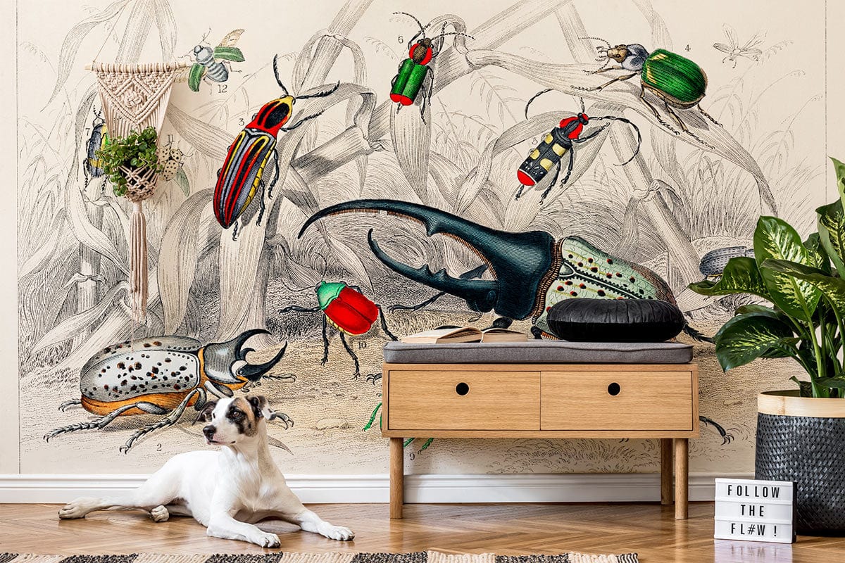 Beetle Pattern Animal Wallpaper Mural Hallway