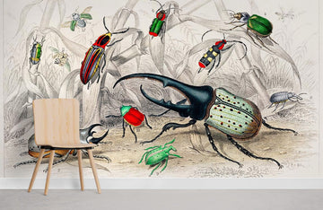 Vintage Insektenillustration Kunst Wandtapete