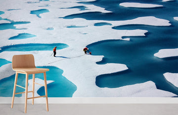 Arctic Expedition Abstract Mural Wallpaper