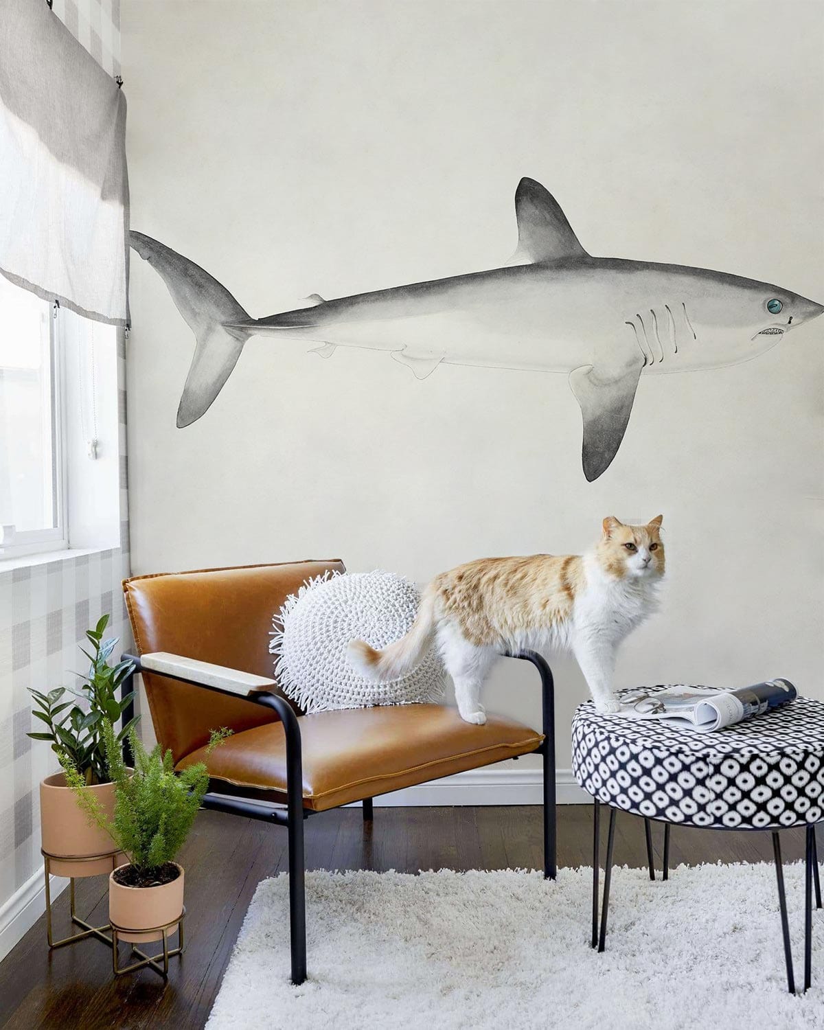 Huge Shark Fish Pattern Wallpaper Mural Design
