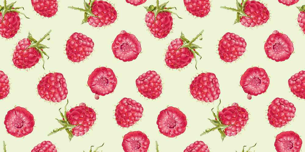 Pink Raspberry Botanical Mural Wallpaper | Ever Wallpaper