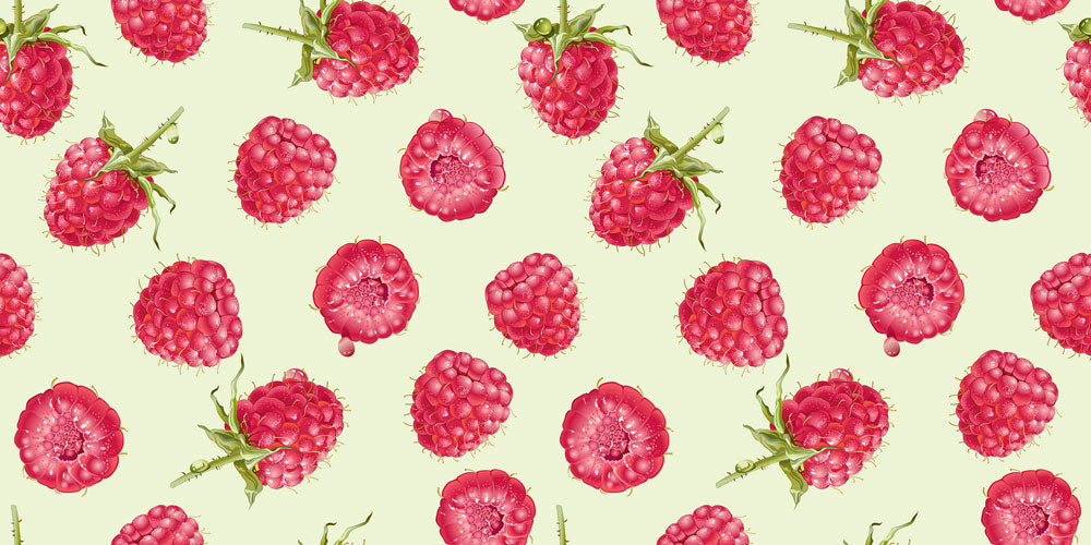 a red raspberry fresh off the vine wallpaper