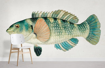 Vintage Botanical Fish Illustration Mural Wallpaper