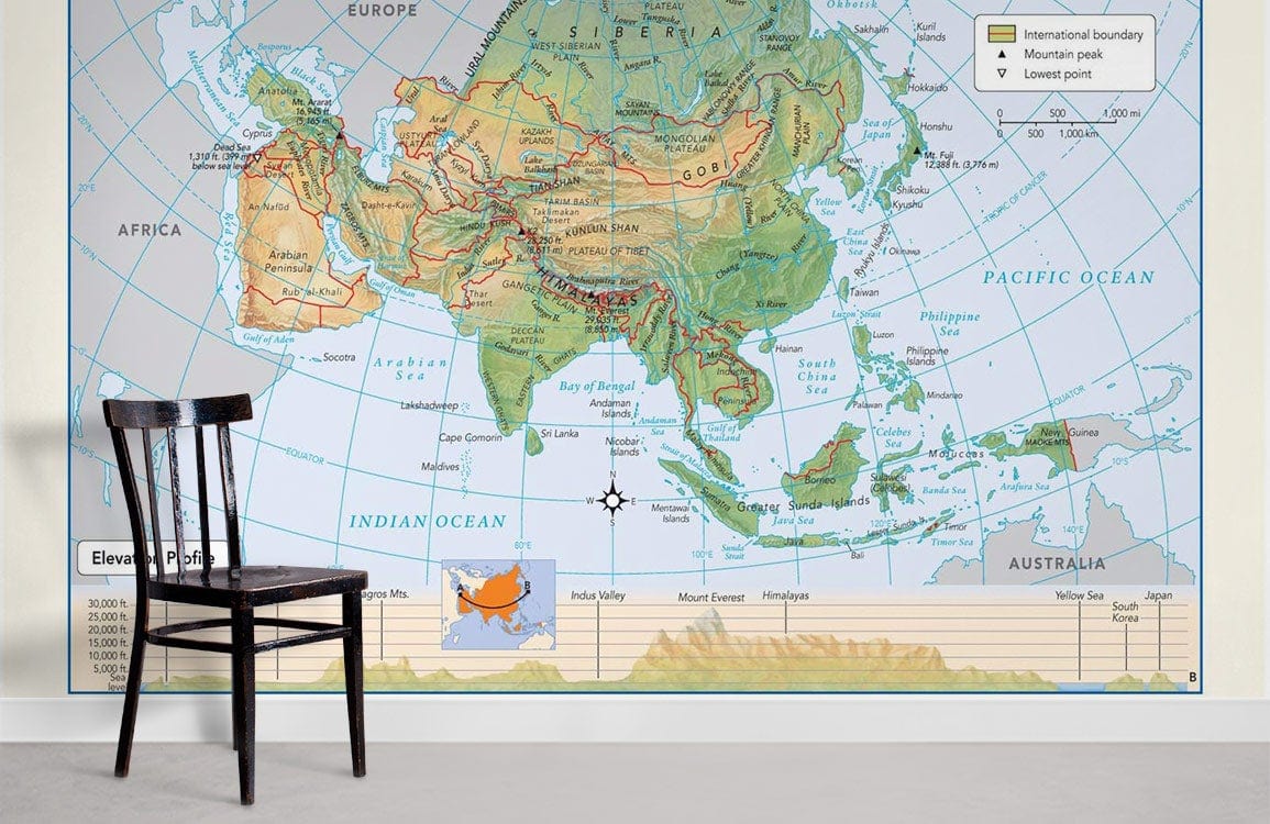 Vintage Style Asia Map Mural Wallpaper in office