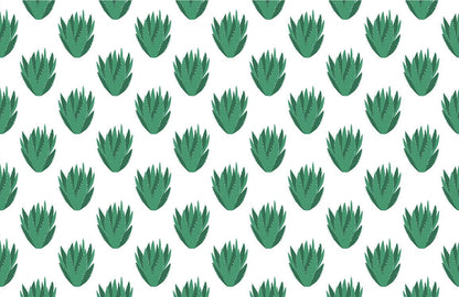 Aloe Cactus Fresh Mural Wallpaper Art Design