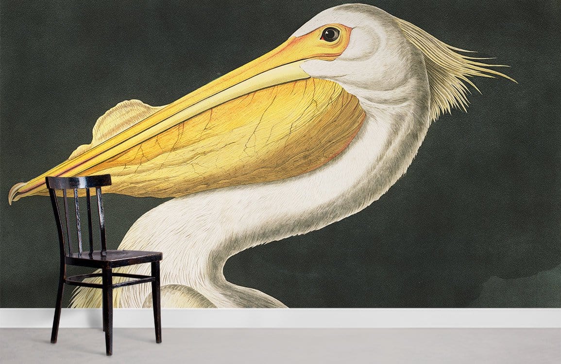 Vintage Pelican Illustration Mural Wallpaper