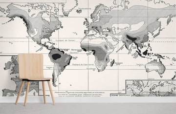 Vintage World Map Monochrome Mural Wallpaper