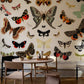 Butterfly & Moth Vintage Pattern Wall Mural Dining Room