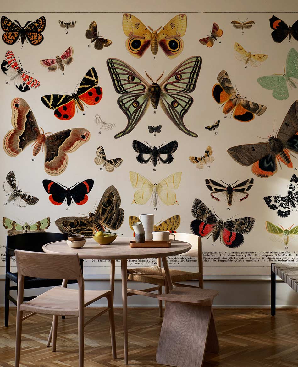 Butterfly & Moth Vintage Pattern Wall Mural Dining Room