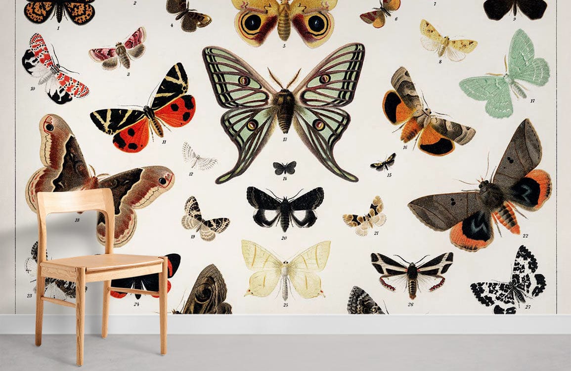 Unique Butterfly & Moth Wall Mural For Room