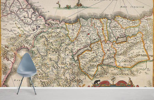Vintage Historical Map Mural Wallpaper