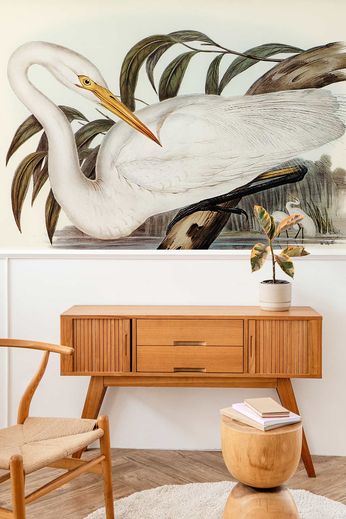 Australian Egret Animal Walpaper Mural Custom Design